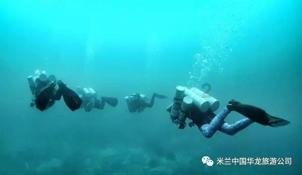 星动，只为你